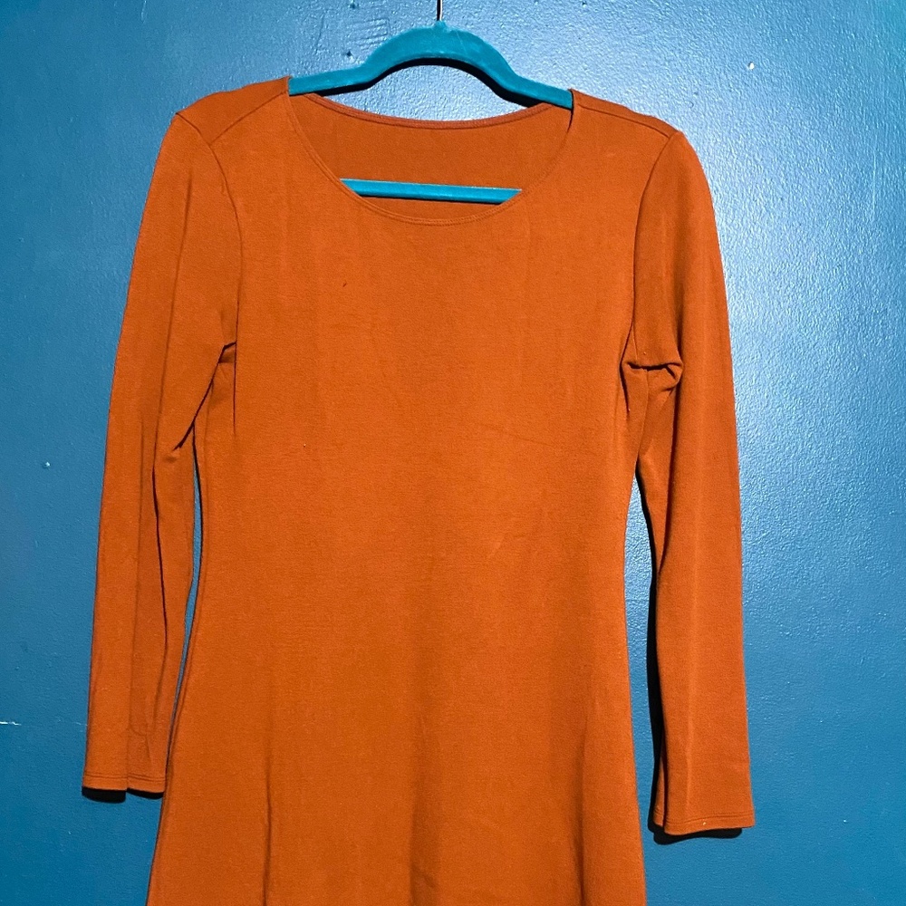 American apparel burnt orange dress